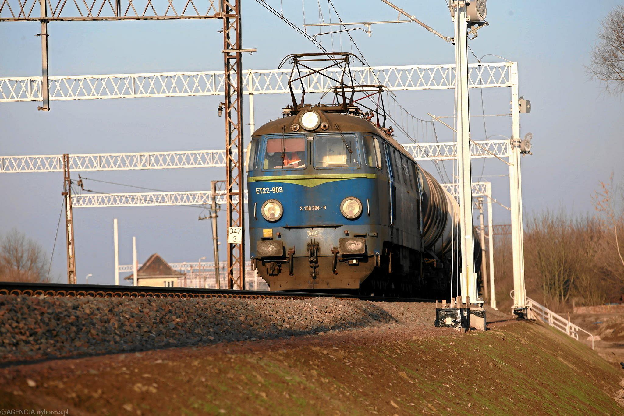 Seven horses were killed after a collision with a freight train near Drawsko Pomorskie