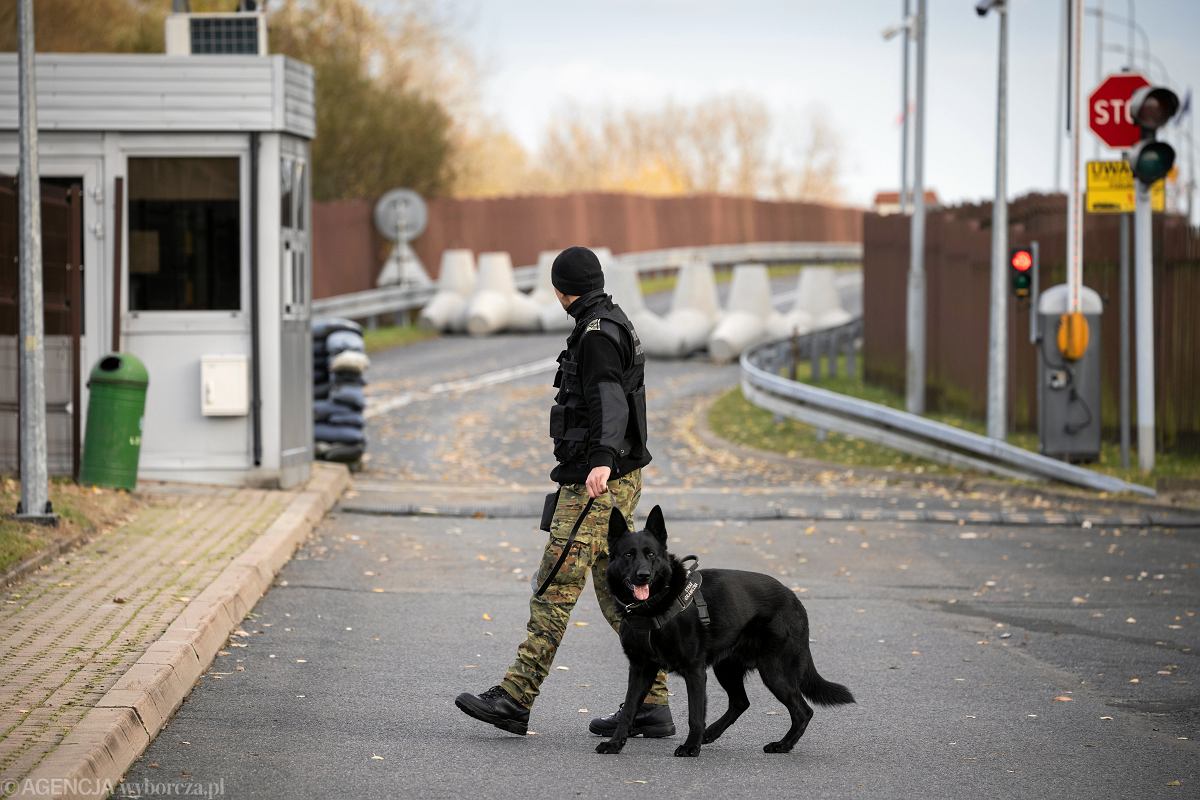 MSWiA: application for full release of Poland from the migration pact submitted to the EC